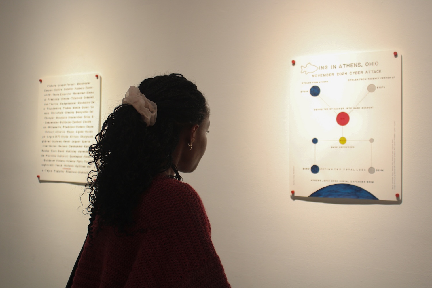 Sparklines Exhibition by Doug MacDowell, viewing data portrait