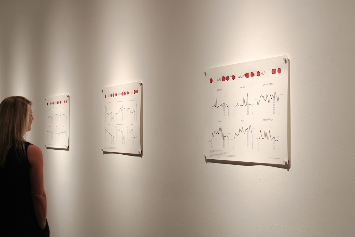 Sparklines Exhibition by Doug MacDowell, landscape series